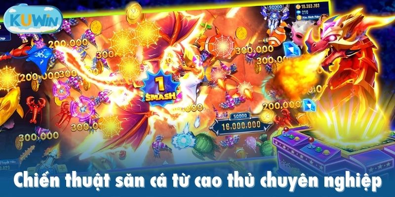 Chiến thuật săn cá từ cao thủ chuyên nghiệp