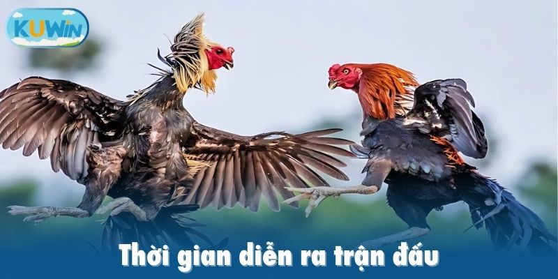 Thời gian diễn ra trận đấu
