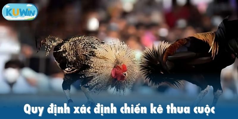 Quy định xác định chiến kê thua cuộc