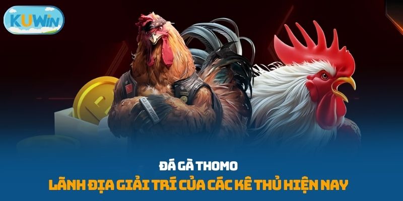 đá gà Thomo