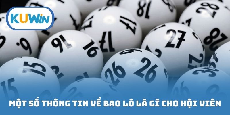Một số thông tin về bao lô là gì cho hội viên