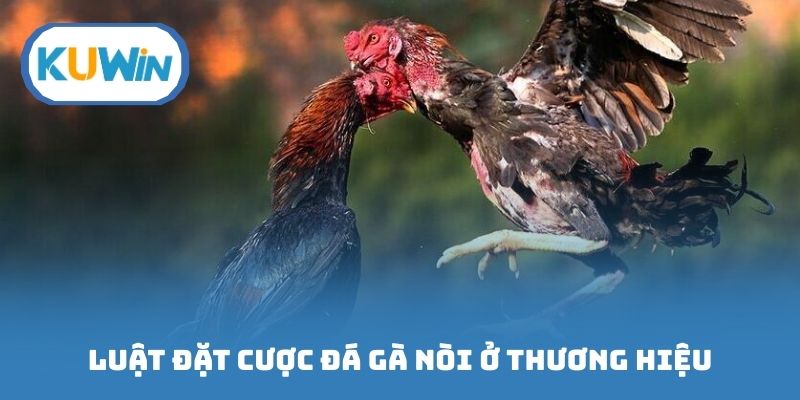Luật đặt cược đá gà nòi ở thương hiệu